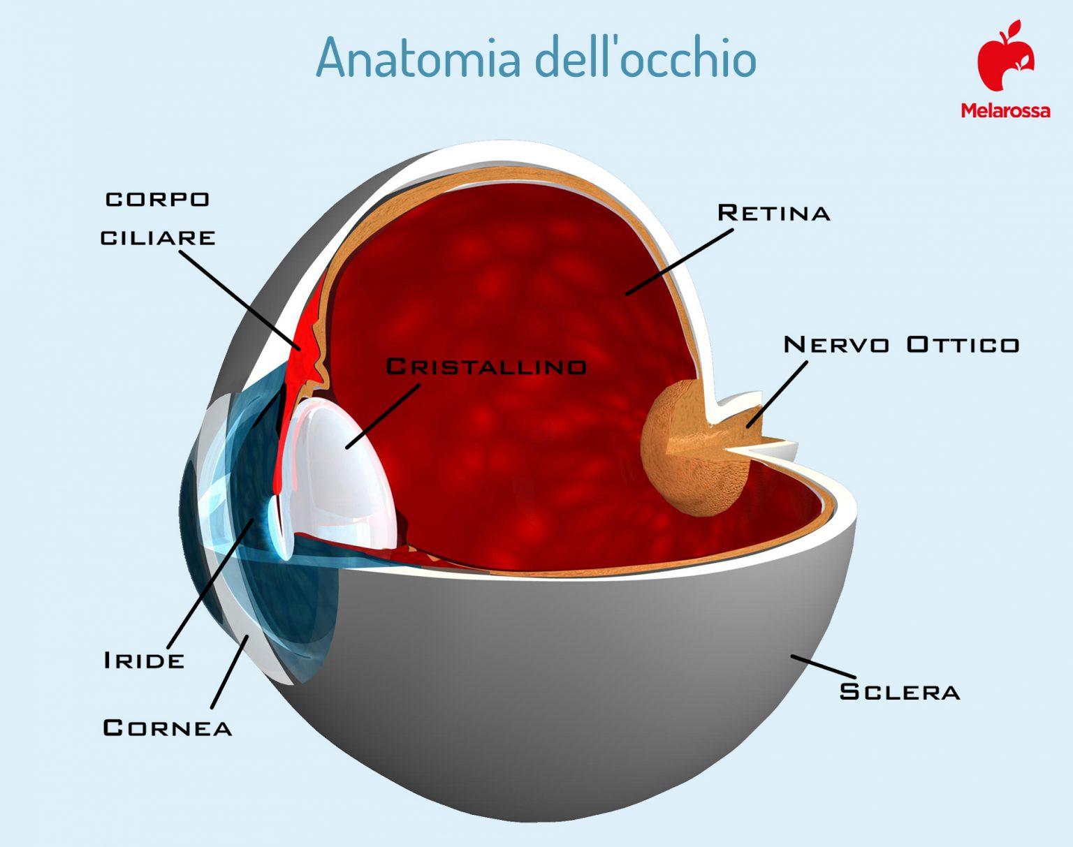 Cheratocono cosè cause sintomi fattori di rischio e cure