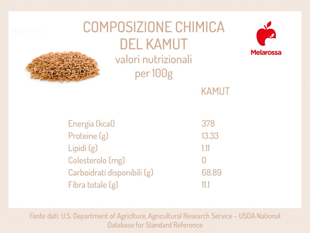 Kamut Benefici E Utilizzo In Cucina Del Grano Khorasan Melarossa