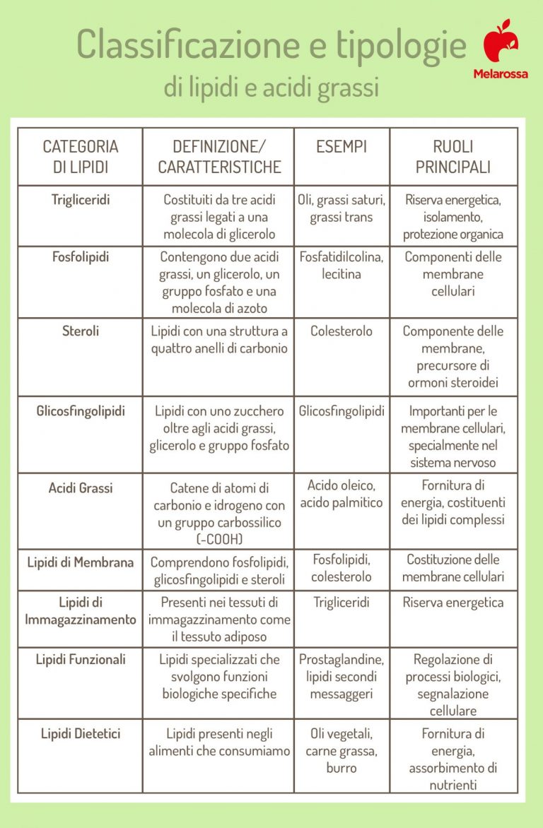 Lipidi O Grassi Cosa Sono A Cosa Servono E Dove Si Trovano