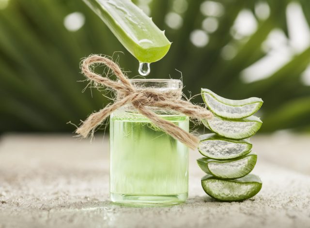 Aloe Vera Proprietà Benefici E Consigli Duso Melarossa 4153