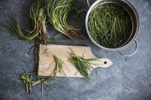 ricette con agretti