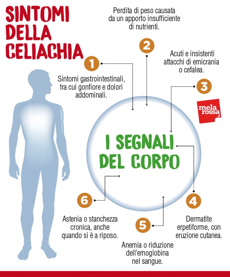 Sintomi Della Celiachia: I Segnali Per Una Diagnosi Immediata - Melarossa