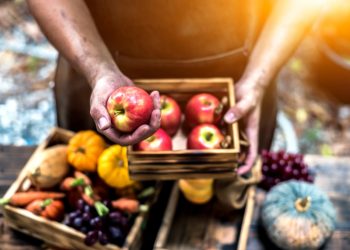 frutta e verdura di stagione: guida completa atunno