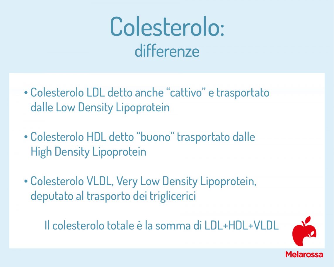 Colesterolo: Cos'è E Come Combattere L'ipercolesterolemia - Melarossa