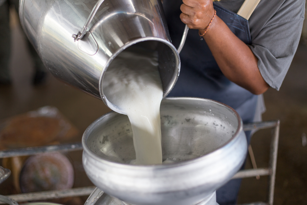 Latte: proprietà, benefici ed utilizzo in cucina - Melarossa