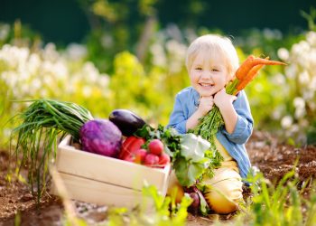 alimentazione biologica agricoltura allevamento benefici