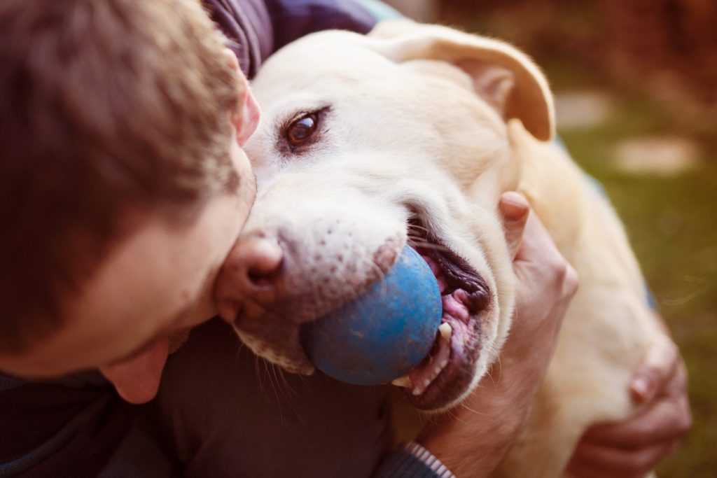 giornata-mondiale-cane