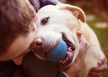 giornata-mondiale-cane