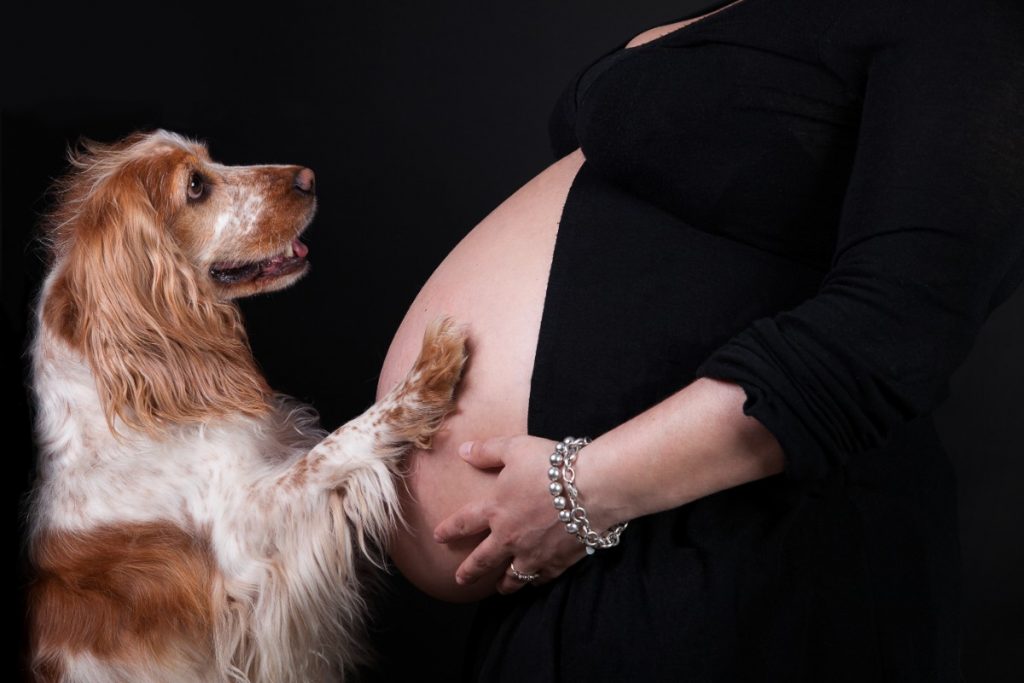 dieta per ogni età della donna: gravidanza