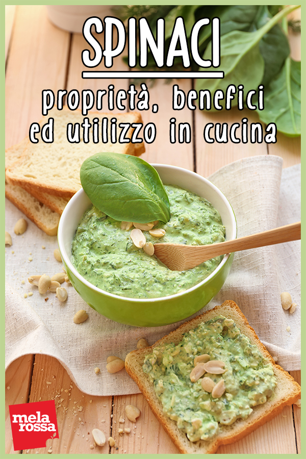 Spinaci Proprietà Benefici E Il Loro Utilizzo In Cucina