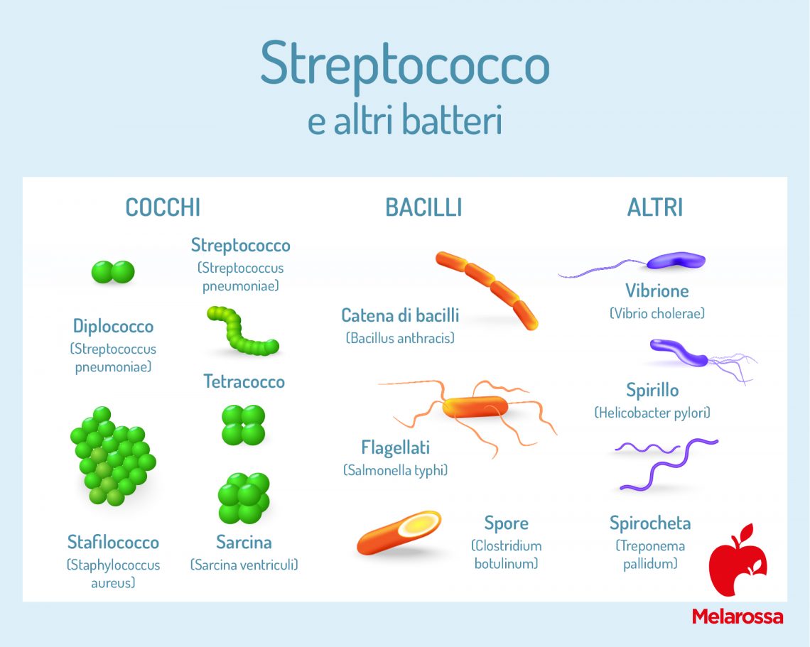 Streptococco: Cos'è, Tipi, Diagnosi, Complicazioni E Cura