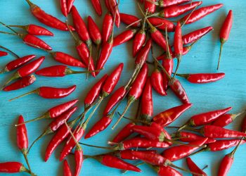 Peperoncino: mangiarlo almeno 4 volte alla settimana dimezza il rischio di morte per infarto e ictus