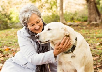 Cani migliori amici di chi soffre di diabete: fiutano l'ipoglicemia e danno l'allarme