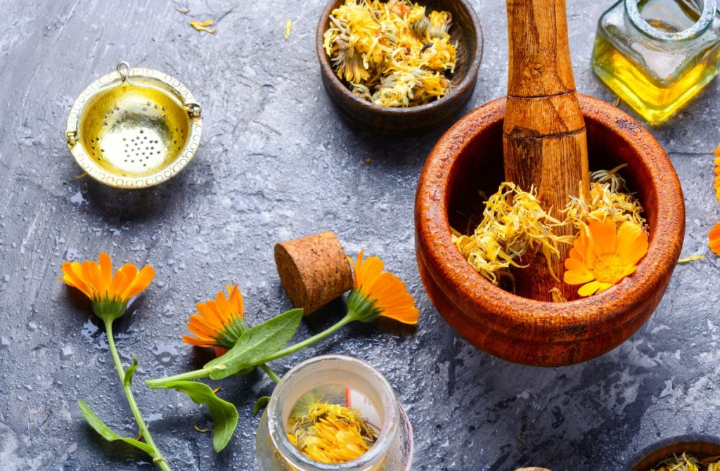 calendula: cos'è, benefici, ricette cosmetiche, guida all'acquisto