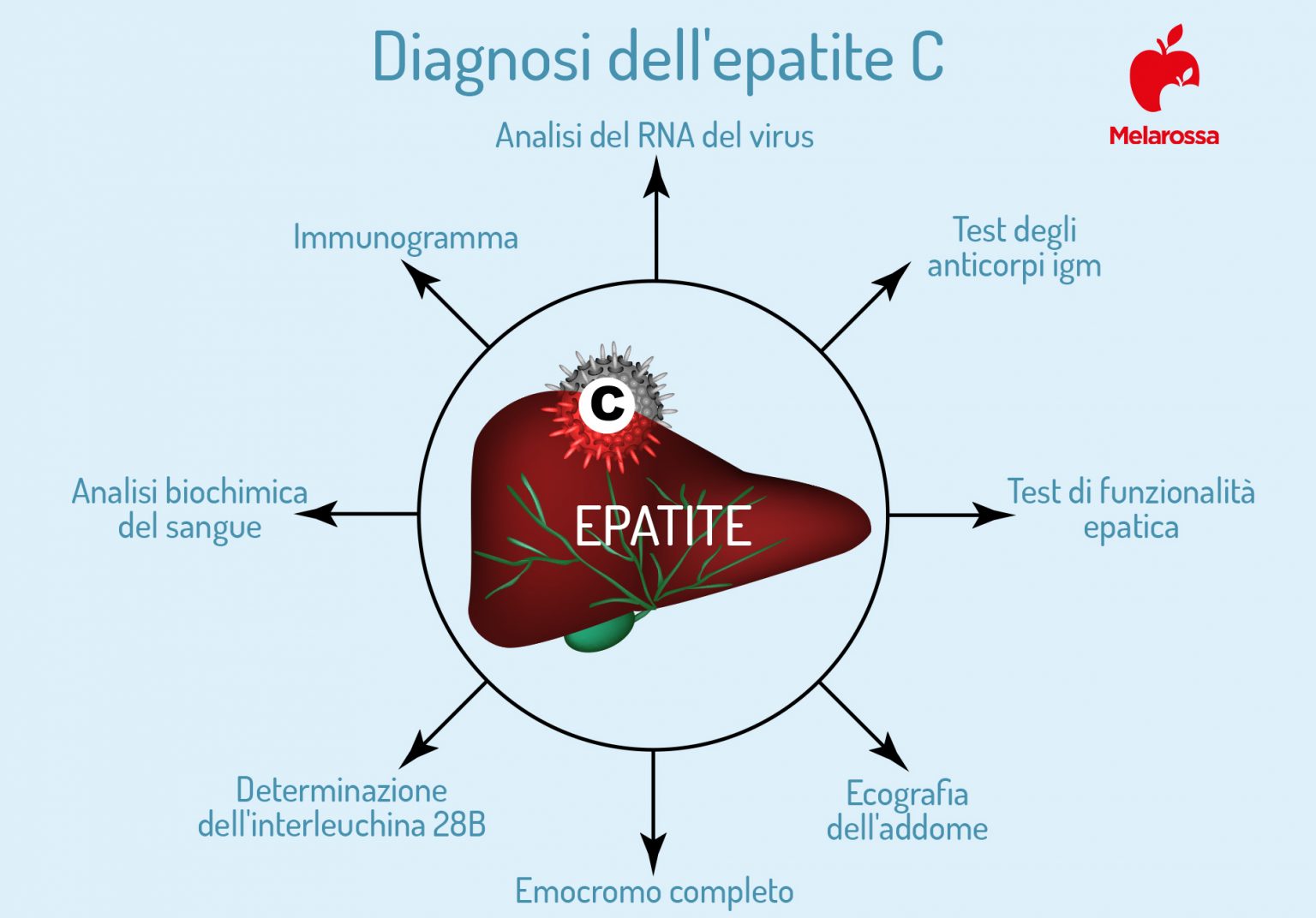 Epatite C: Cos’è, Cause E Sintomi, Contagio, Diagnosi, Cure E Prevenzione