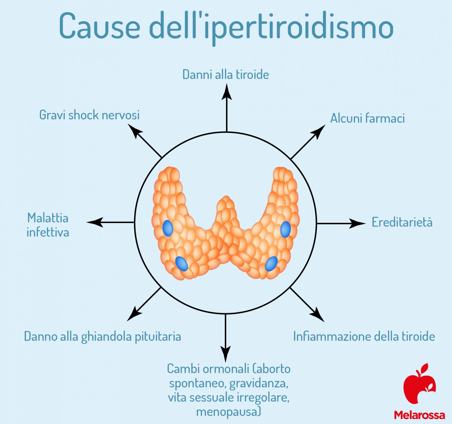 Tiroide: cos'è, a cosa serve, patologie, legame col peso e cure - Melarossa