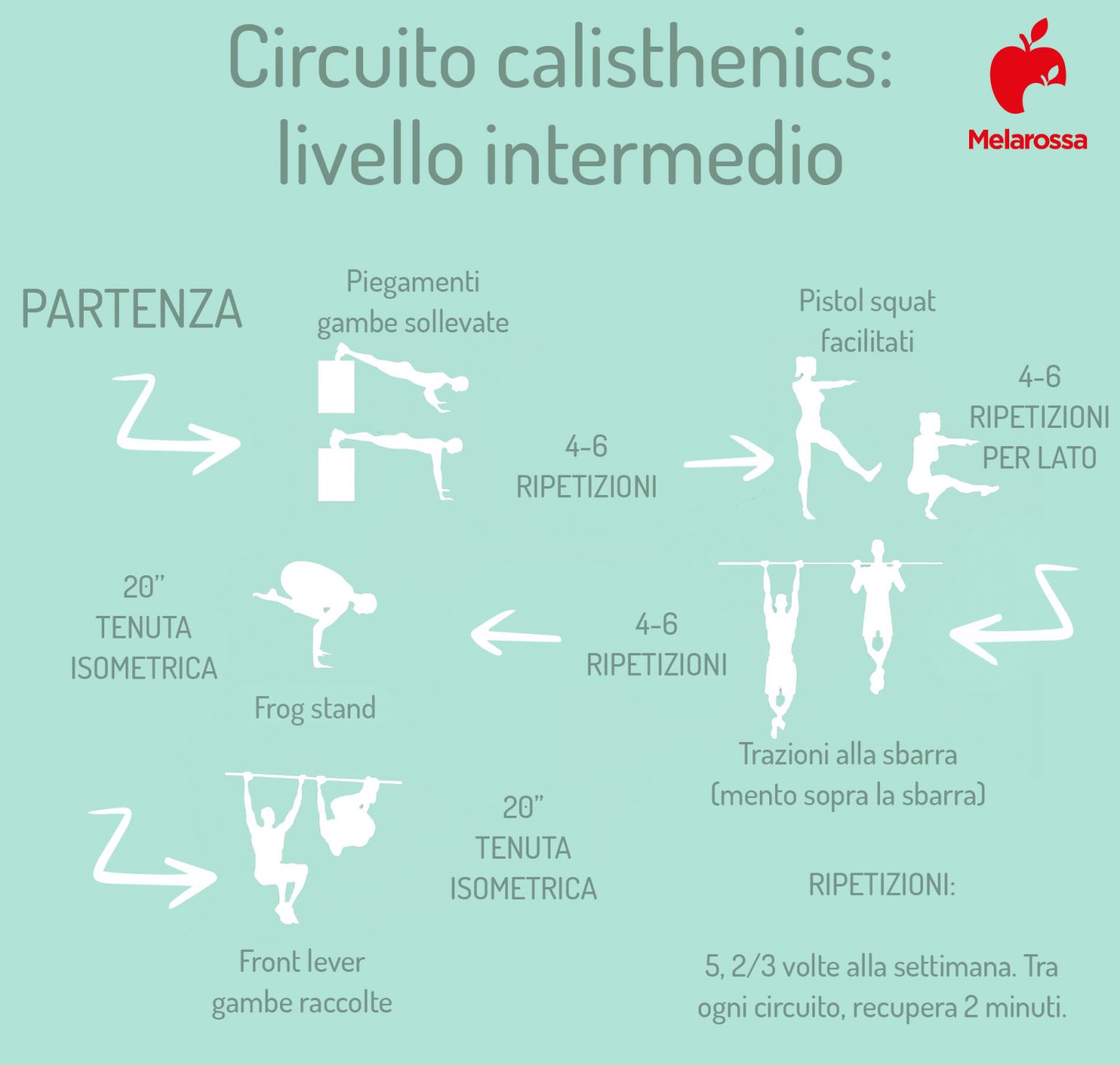 Calisthenics: Cos'è Benefici E Programmi Di Allenamento