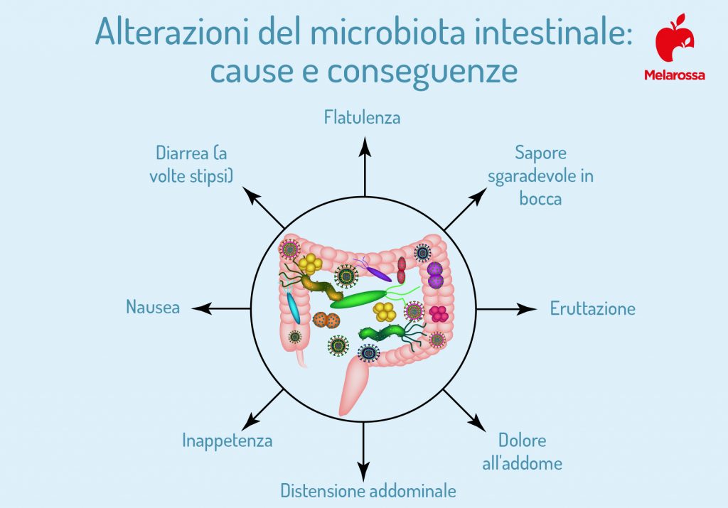 Microbiota Intestinale Cos Funzioni Come Tenerlo In Buona Salute