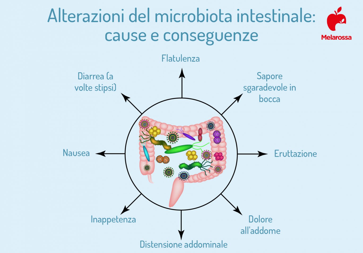 Microbiota Intestinale: Cos’è, Funzioni, Come Tenerlo In Buona Salute