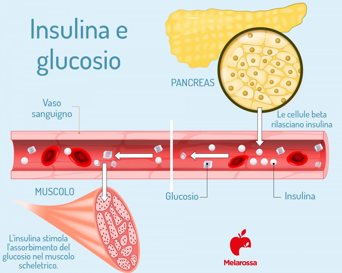 Glucosol