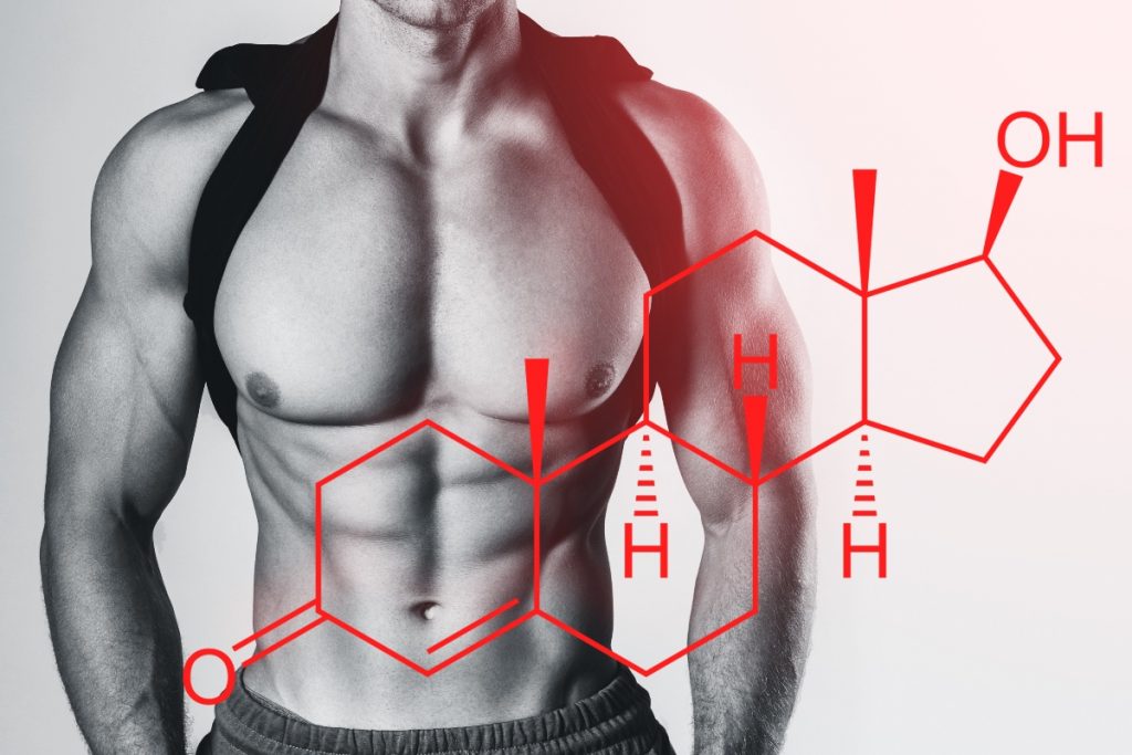 Testosterone: cos'è, ruolo, valori normali, alti e bassi, quando assumere integratori