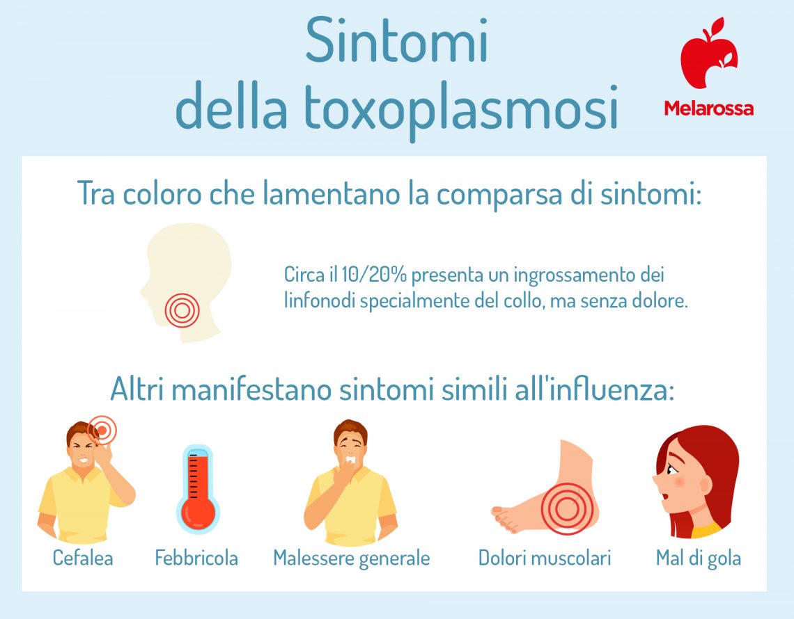 Toxoplasmosi Cosè Trasmissione Cause Sintomi Cure E Prevenzione 8241