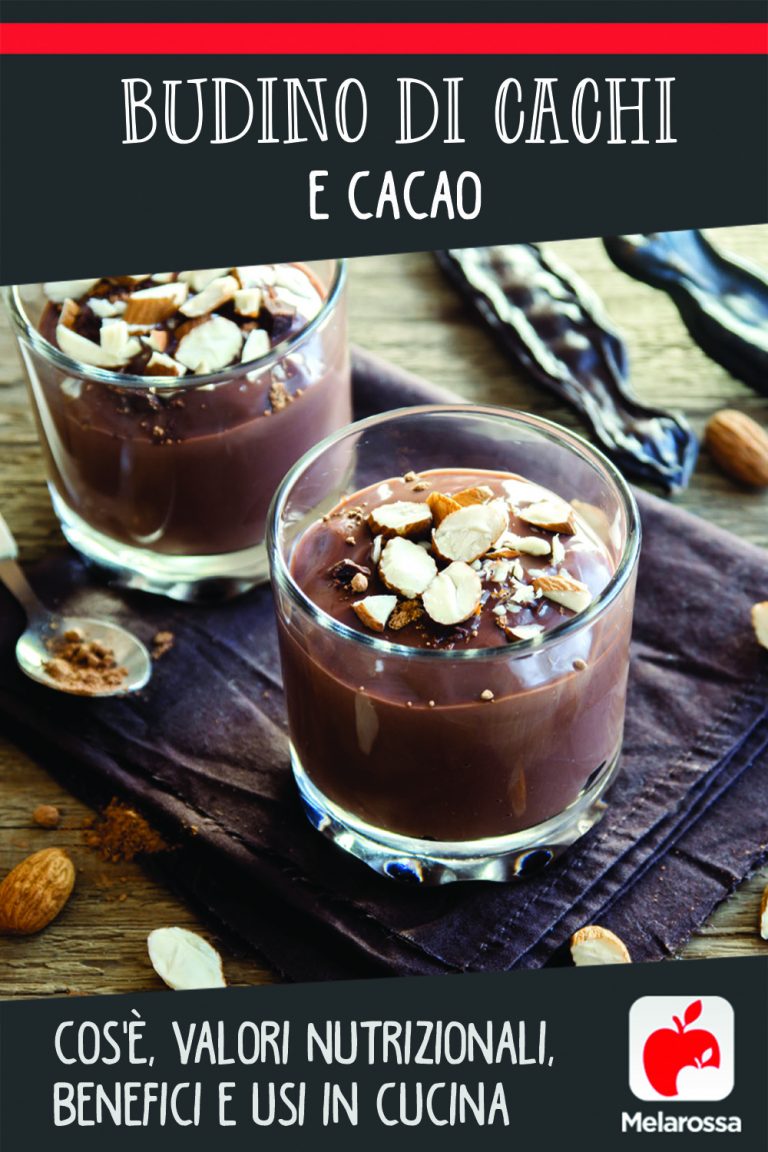 Budino Di Cachi E Cacao: Il Dessert Autunnale Con 130 Calorie - Melarossa