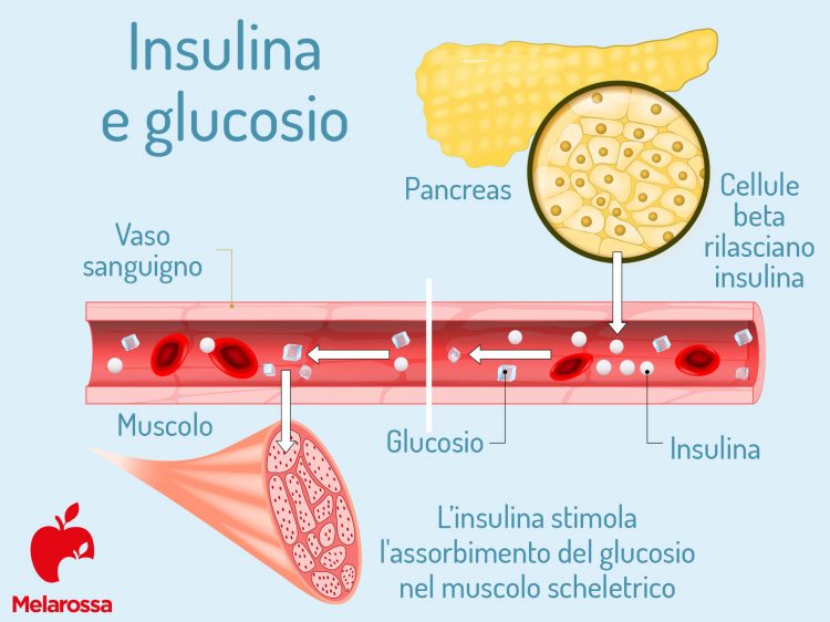 Insulina E Diabete Come Gestire I Livelli Di Glicemia