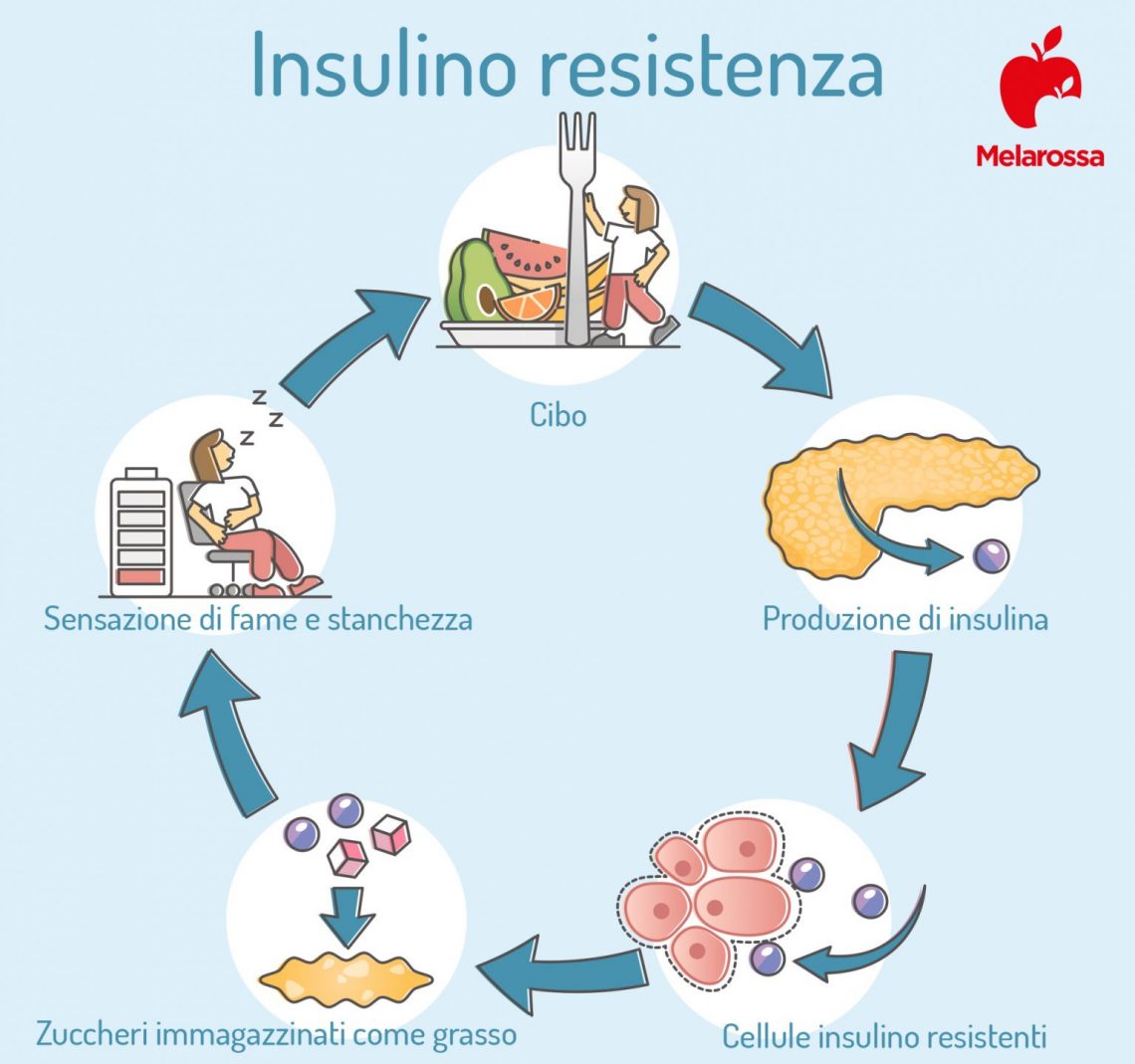 Insulina Cos Funzioni Tipi Valori Diabete E Terapia Insulinica