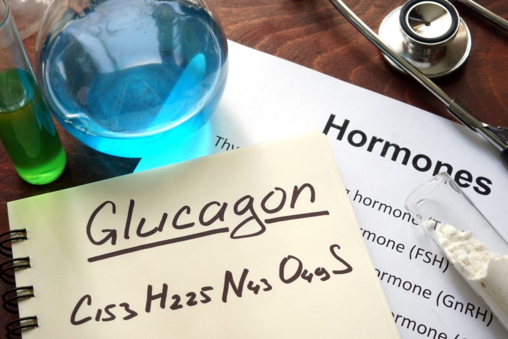 glucagone: cos'è, a cosa serve e come usarlo per stimolare il metabolismo