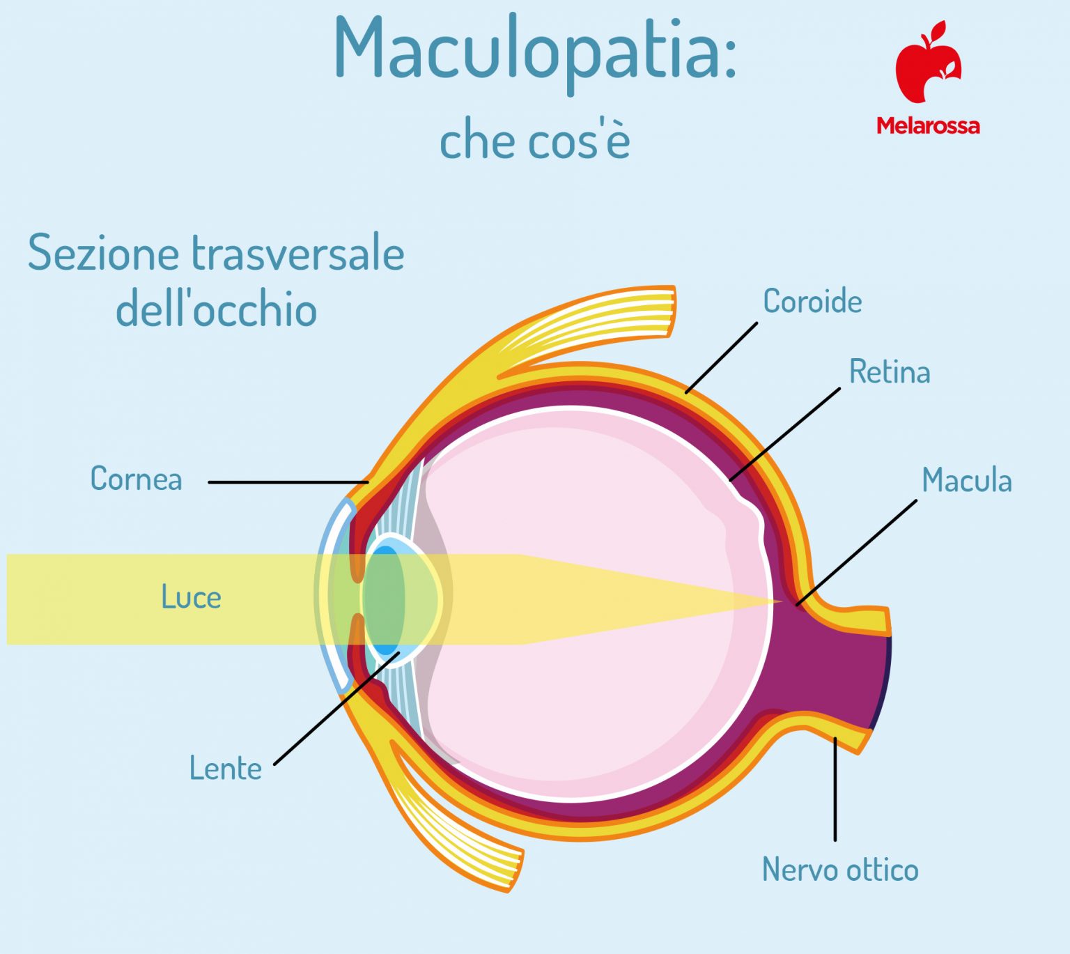 Malattie Dellocchio Tutte Le Patologie E I Disturbi Oculari 