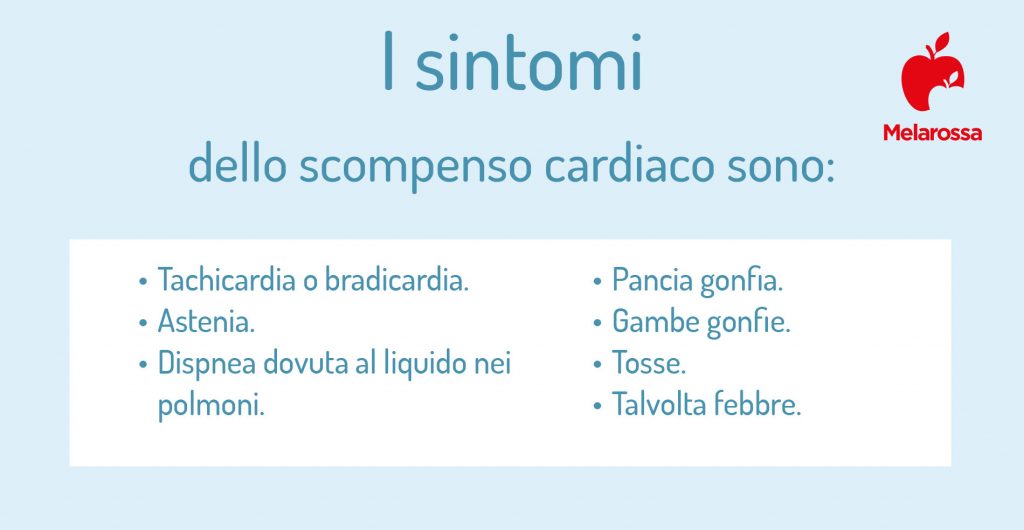 Scompenso Cardiaco: Cos’è, Tipologie, Sintomi, Cause, Diagnosi E Terapia