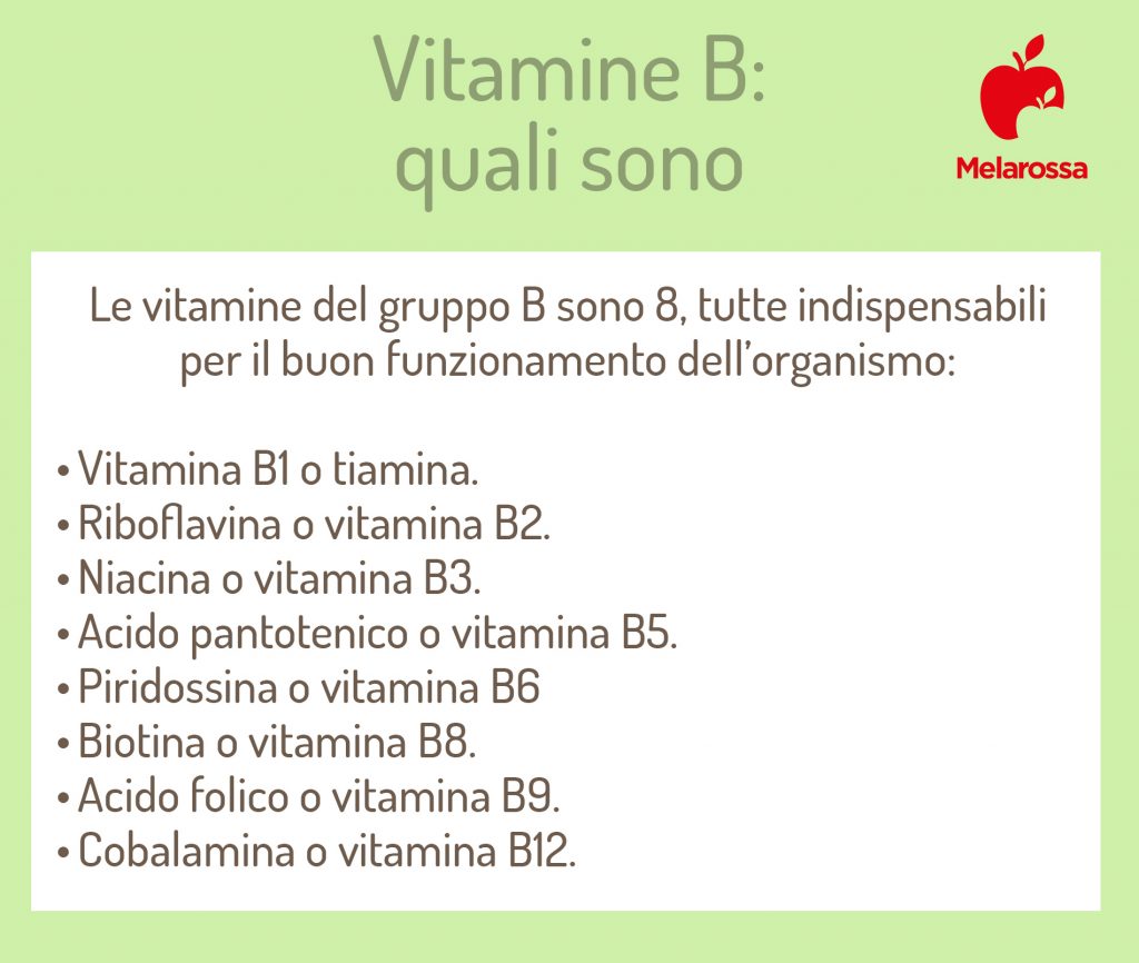 Vitamina B: Cos'è, Benefici, Rischi Da Carenza E Cibi Più Ricchi ...