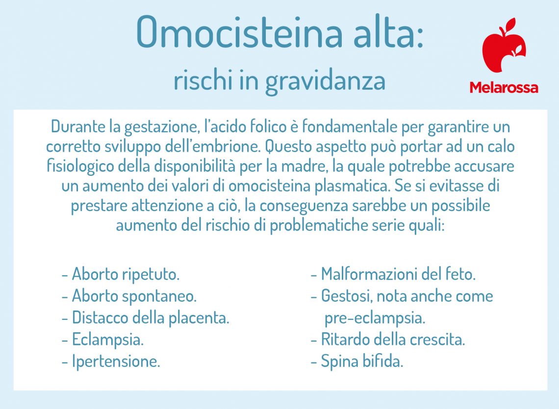 Omocisteina: Cos'è, A Cosa Serve, Quando Fare Il Test, Valori