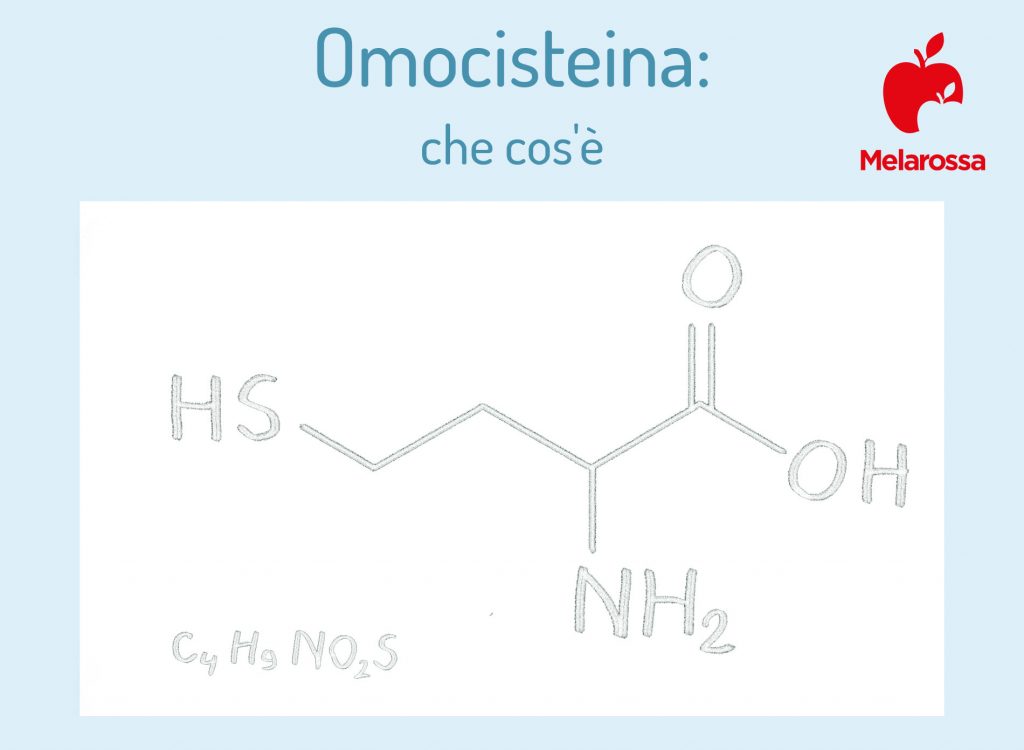 Omocisteina: Cos'è, A Cosa Serve, Quando Fare Il Test, Valori