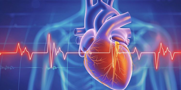 un'immagine stilizzata del cuore e della frequenza cardiaca