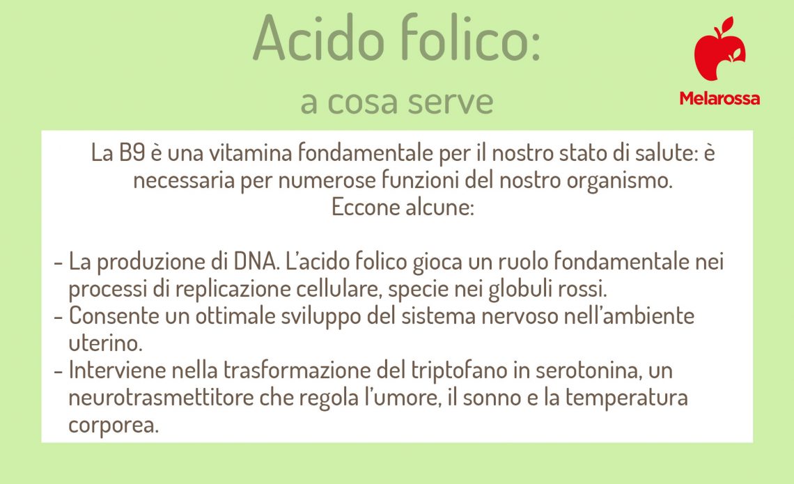 Acido Folico: Cos'è, Alimenti Ricchi E A Cosa Serve -Melarossa