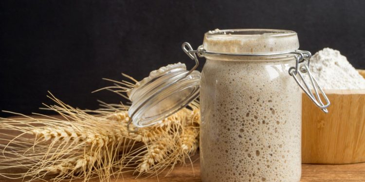 Un barattolo con lievito madre, spiga di grano