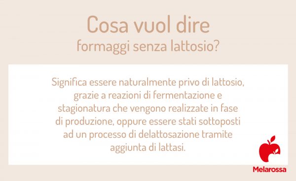 Intolleranza Al Lattosio? Scopri I Formaggi Senza Lattosio Per Te