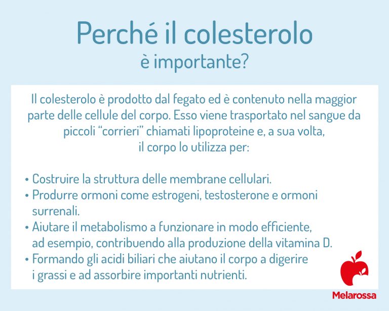 Colesterolo Basso: Cause, Sintomi E Rischi Dell'ipocolesterolemia