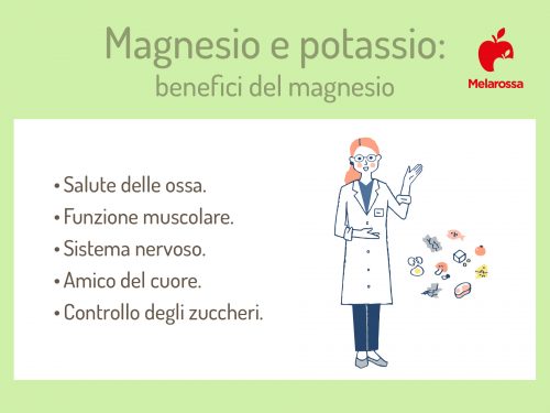 Magnesio E Potassio: A Cosa Servono E I Migliori Integratori