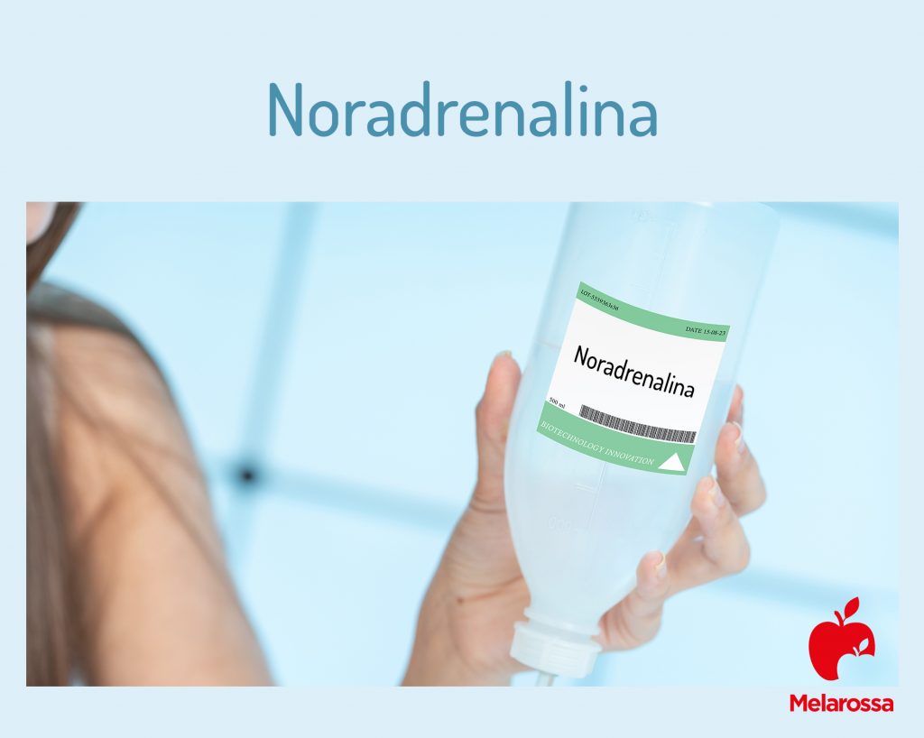 Noradrenalina: che cos'è, a cosa serve, effetti sul metabolismo