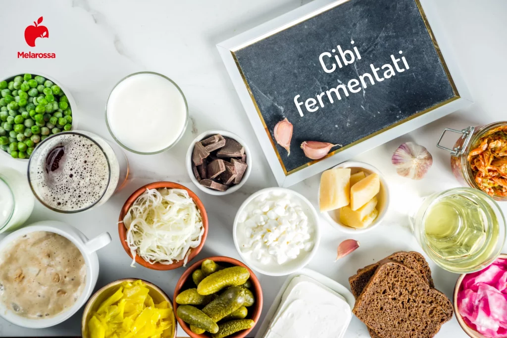 tante ciotole piene di vari cibi fermentati e un cartello "cibi fermentati"