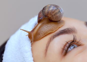 Primo piano di una donna con bellissimi occhi azzurri distesa con una fascia bianca per capelli e una lumaca sulla fronte